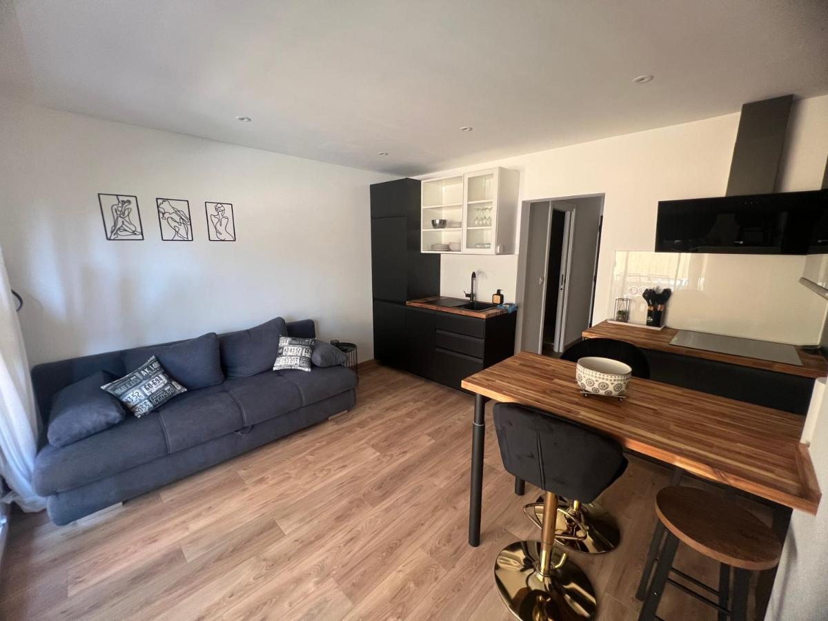 Papillon De Cimiez Apartment นีซ ภายนอก รูปภาพ